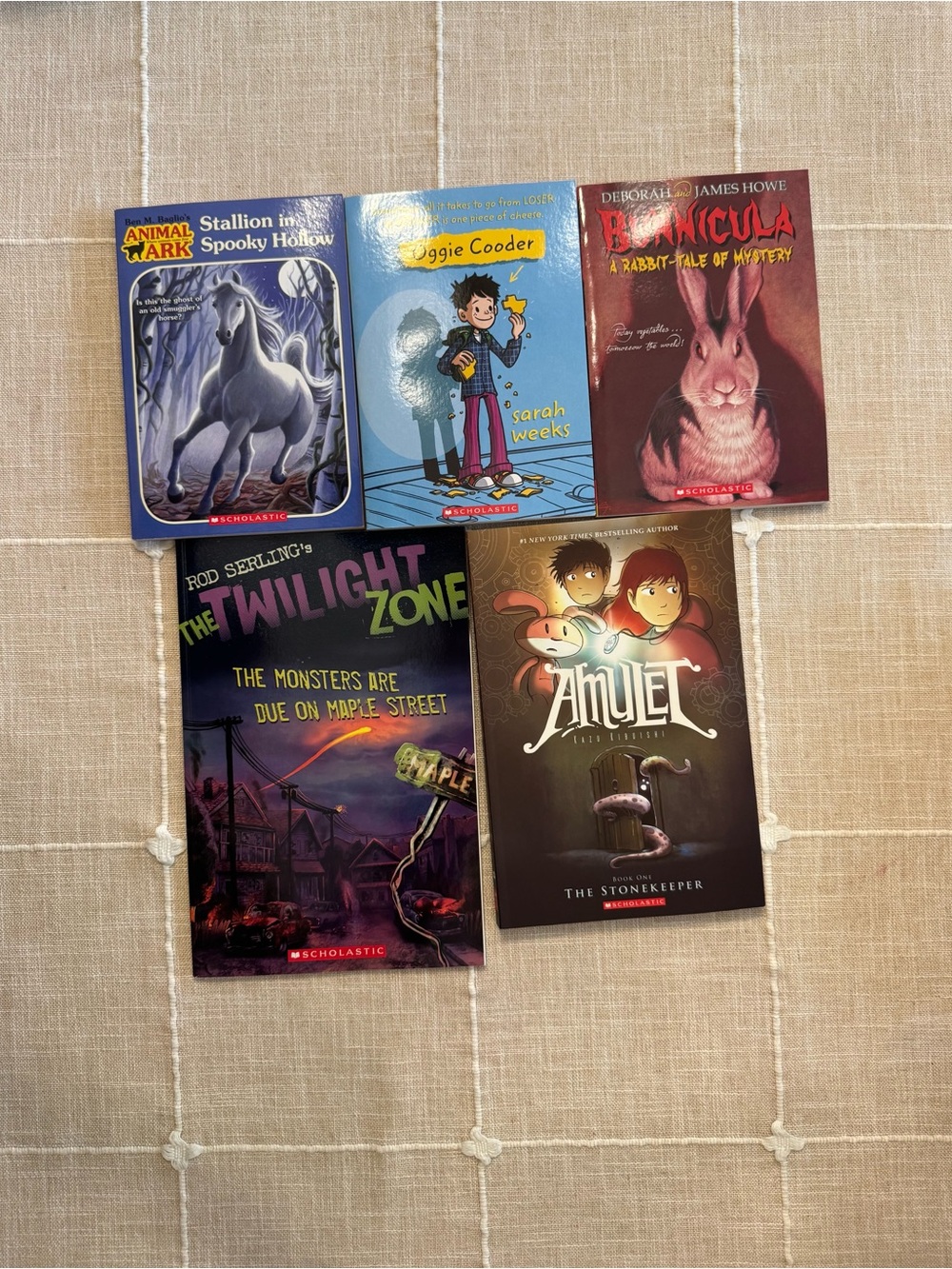 NEW!  Scholastic book bundle